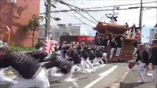 平成30年　鳳だんじり祭り試験曳　～旧石スポ交流・鳳南地区5町試験曳行～