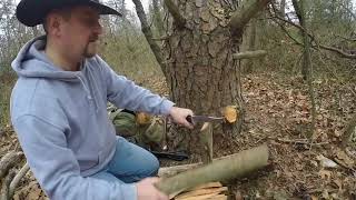 Fatwood harvest tips, pitch pine, fire starter