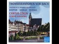 various cantors at st. thomas s before bach konrad junghänel