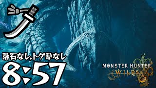 【MHWilds β】アルシュベルド 太刀 ソロ 8:57 落石・トゲ草なし【モンハンワイルズ β Steam】