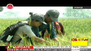 গমে ব্লাস্ট রোগ, প্রতিকার খুঁজতে মেহেরপুরে ২১ কৃষি বিশেষজ্ঞ