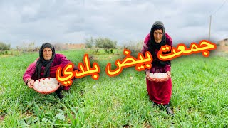 من البادية اجي تشوف أحسن مشروع يعونك في حياتك دجاج 🐓 بيض 🥚 بلدي