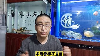 关于鱼缸内铺设过滤棉的一些问题，什么材质好，多还是少？