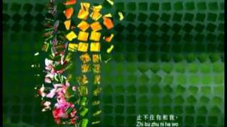 NHÂN GIAN ĐA TÌNH with lyrics - Lý Thù -Li Shu - 人 间 情 多 - 李 殊.MP4