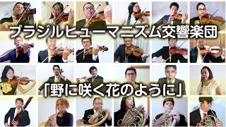 ブラジルヒューマニズム交響楽団／野に咲く花のように