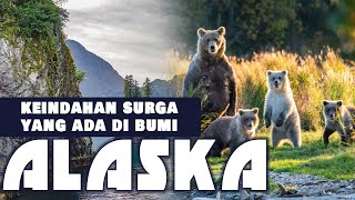 Hutan yang menyimpan beribu keindahan alam didalamnya || Alaska