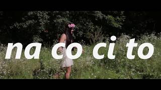 Na co Ci to?! (parodia Despacito - cover)