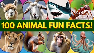 🐘 100 Animal Fun Facts !🦒 جانوروں کے حیرت انگیز حقائق 100 #wildlifewonders #discoverwildlife