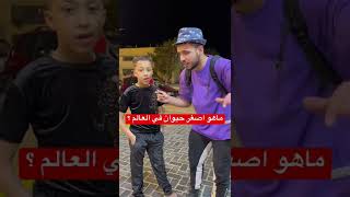 ماهو اصغر حيوان في العالم ؟