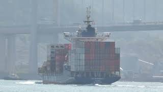 Container Ship《TS SURABAYA》Crossing Tsing Ma Bridge 20250208