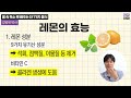 당장 집에 가서 시도하세요 레몬 1개가 우리 몸에 주는 놀라운 효능 김병재 박사 7부