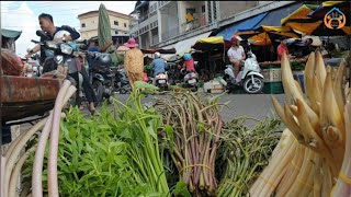 ត្រកូនកញ្ឆែតនិងក្រអៅឈូកខ្ចីៗបេះនិងដកពីបឹងធម្មជាតិ/Natural Vegetable take from the lake