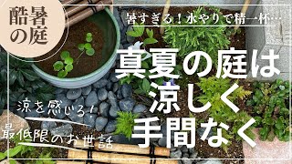 酷暑のお庭は管理が大変💦放ったらかしで綺麗を保つ＋目で見て涼しいエリアを作る！DIY/真夏のガーデニング/納涼/