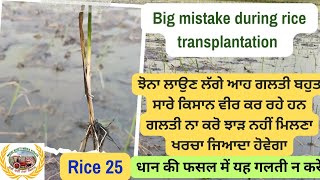 Paddy transplantation and mistakes! ਝੋਨਾ ਲਾਉਣ ਸਮੇਂ ਆ ਗਲਤੀ ਨਾ ਕਰੋ 15 ਦਿਨ ਝੋਨਾ ਨਹੀਂ ਚੱਲੇਗਾ।