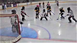 Ringette game Etobicoke Stingers vs Sunderland Stingerz FUN3 U10 at Pine Point Arena