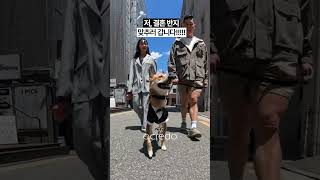 아크레도 개인화경험 Ep 1, 포드는 결혼반지 맞추러 가는 중! 🐶