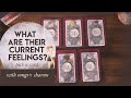 🔮 What Are Their Current Feelings? 🥰  | PICK A CARD | Love Tarot Reading with Songs & Charms