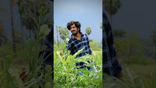 Ooru Palletooru Video Song | Balagam | Priyadarshi | Mangli | Ram Miryala | Bheems Ceciro…