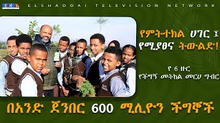 በአንድ ጀንበር 600 ሚሊዮን ችግኞች