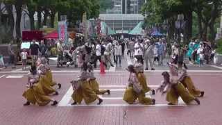 実践女子大学・短期大学WING　 たまよさこい2015