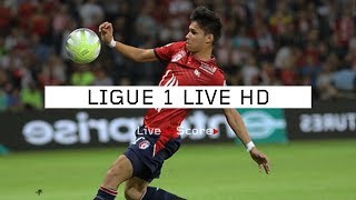 Lille vs Amiens - Ligue 1 2019