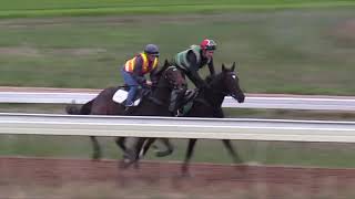 Flying Mascot - 20th April 2020 Track Gallop