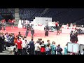 【男子個人準々決勝】nakabayashi fra fritz cze 第29回ヨーロッパ剣道大会