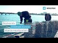 Installation of biohuts outside Maersk HQ | Sustainability at Maersk