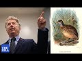 MUST WATCH: Rand Paul complains about QUAIL COCAINE SEX study