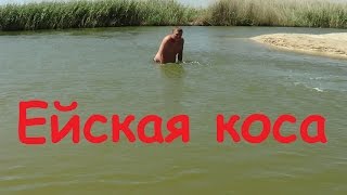 Остров Ейская коса