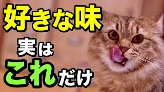 猫の好きな味を獣医師が解説します