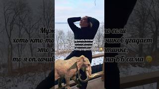 Не пойму это собака или жираф? #юмор #смехпродлеваетжизнь #смешно #мужижена #вб