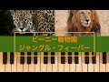 【ビーニー動物園】【ジャングル・フィーバー】　キャサリン・ロリン the Bean Bag Zoo  【Jungle Fever】Catherine Rollin