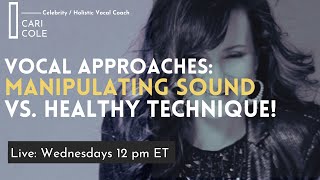 Examining Vocal Techniques: Manipulating Sound Vs. Building A Strong Vocal Found