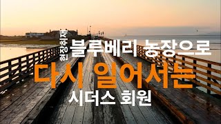 다시 일어서는 시더스 가족, 블루베리와 산딸기 농장을 가꾼다