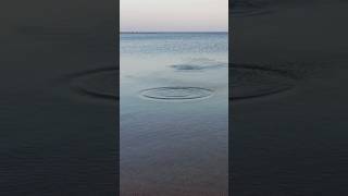 Ripple Effect Ripples Serenity Sinai