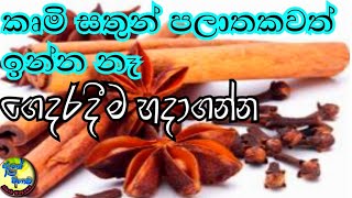 ⁣ඕනම කෘමි සතෙක් පලවාහරින්න මේ බෙහෙත හදල බලන්න Home made organic   pesticide අලුත් වගාව Aluth wagawa