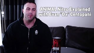 ANIMAL Nitro Explained with Evan \