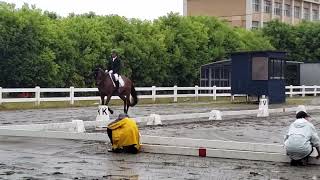 2023 DRESSAGE IN SUZUKA ３課目Ｂ（公認）