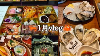 🦐🦪1月vlog🦀【アルピーノ・年越し弁当】【生牡蠣】【かに道楽】