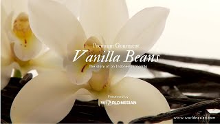 Worldnesian: Premium Indonesian Vanilla Beans for the World