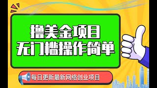 撸美金项目 无门槛 操作简单