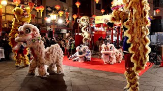 第36回神戸南京町春節祭 獅子舞「南京町龍獅団」2