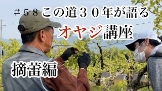 【ど田舎農家】これが誰も知らないオヤジ摘蕾講座/日本一の柿を作る方法/オヤジ家族の支えもあって頑張れています。