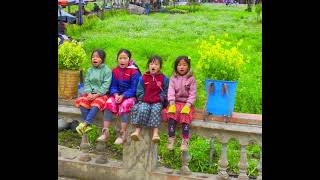 Spring in Ha Giang: A Blossoming Paradise in Northern Vietnam