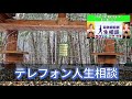 テレフォン人生相談 🐋【浮気】夫婦の関係を見直す時、妻の不倫について◆ パーソナリティ：加藤諦三 ◆ 回答者：マドモアゼル・愛（エッセイスト）