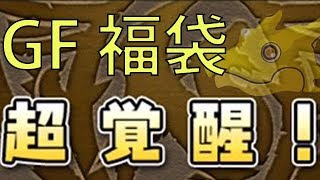 【パズドラ】パズドラで新年らしい事をする