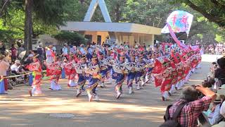 第12回よさこい祭りin光が丘公園(2018/7/15)「舞華」