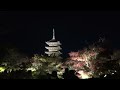 best autumn foliage in kyoto 2024 fantastic illumination of toji temple