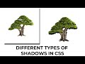Mastering Shadows in CSS: Box Shadow vs. Filter Drop Shadow - Different types of css shadows